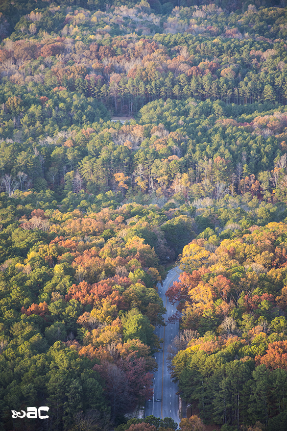Fall in Georgia, USA