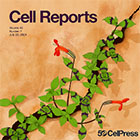 Read our latest publication on Cell Reports on ZFP36 decay proteins