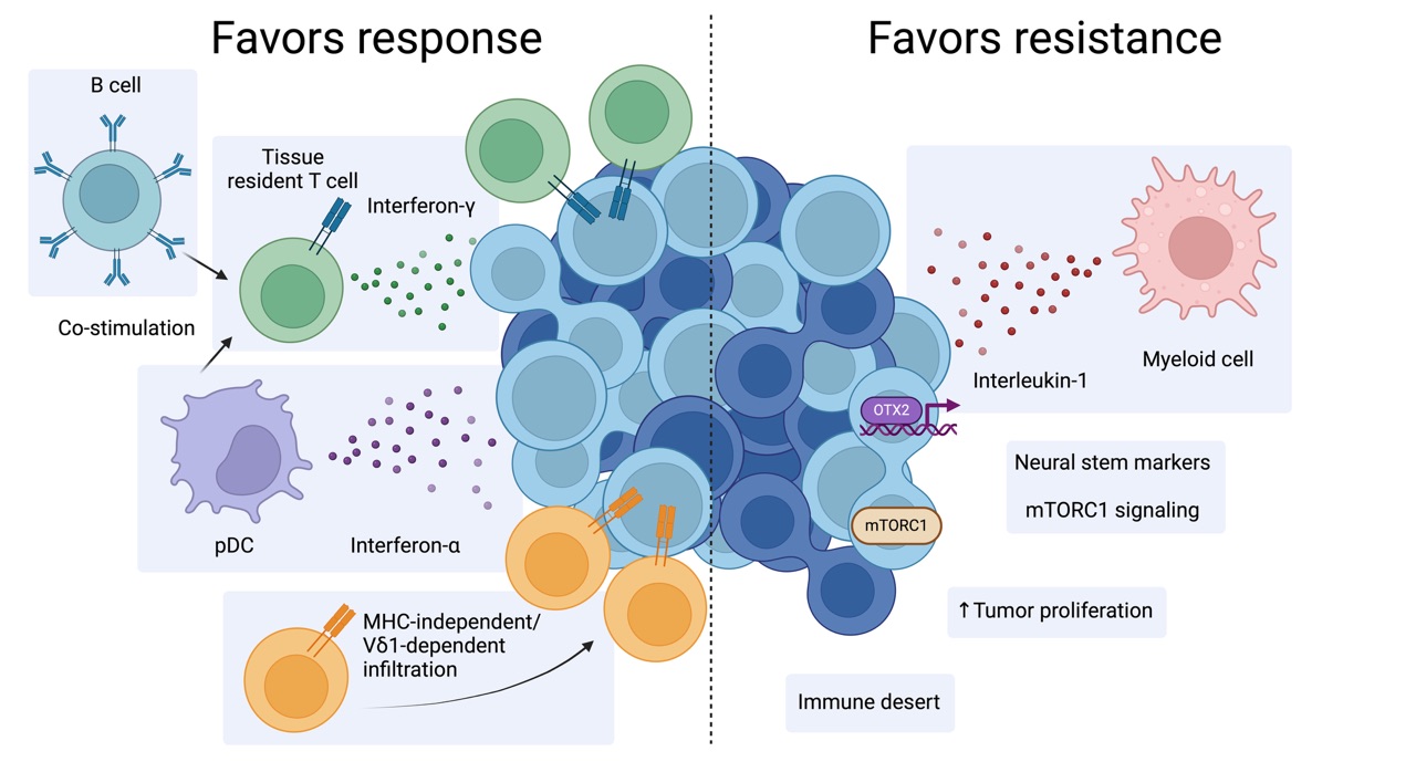 Scieniss Discver Penial Bimarker in Rare Skin Cancer