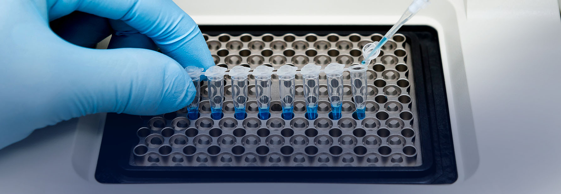 David Laboratory: David Lab: Feinberg School of Medicine