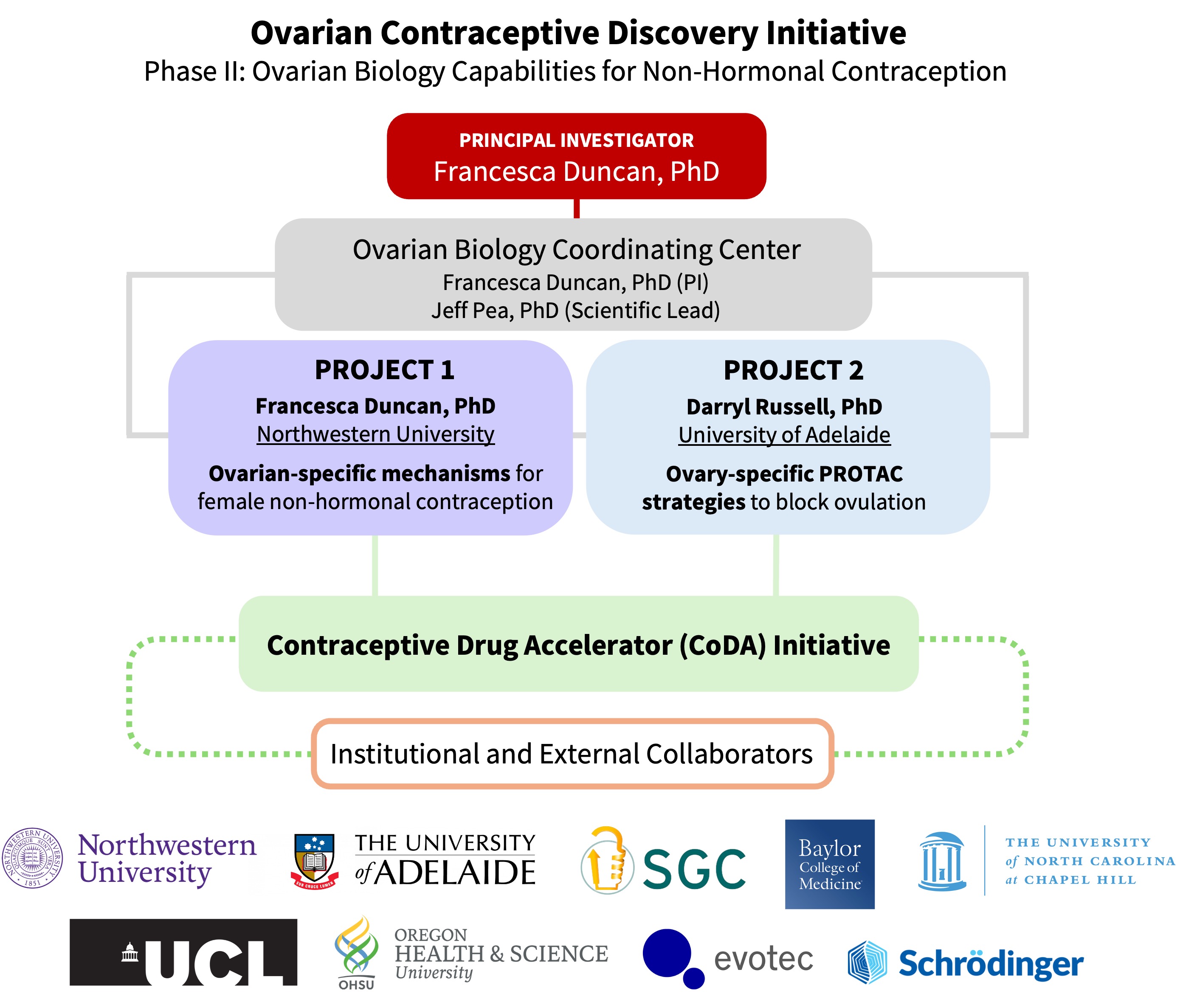 OCDI institutional structure