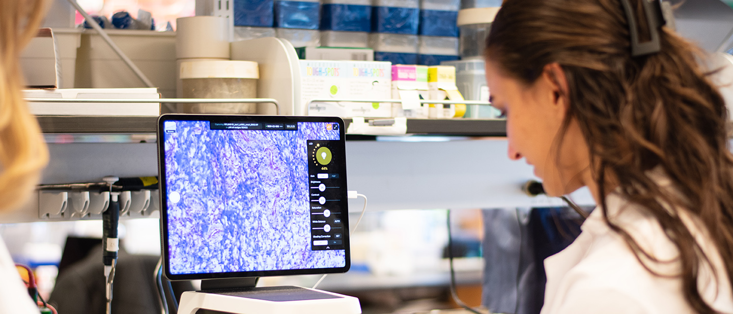 Home Duncan Lab Feinberg School of Medicine