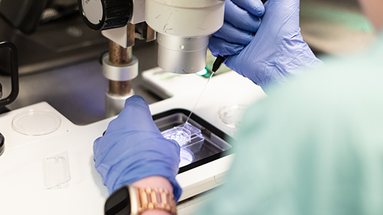 A scientist working in the lab