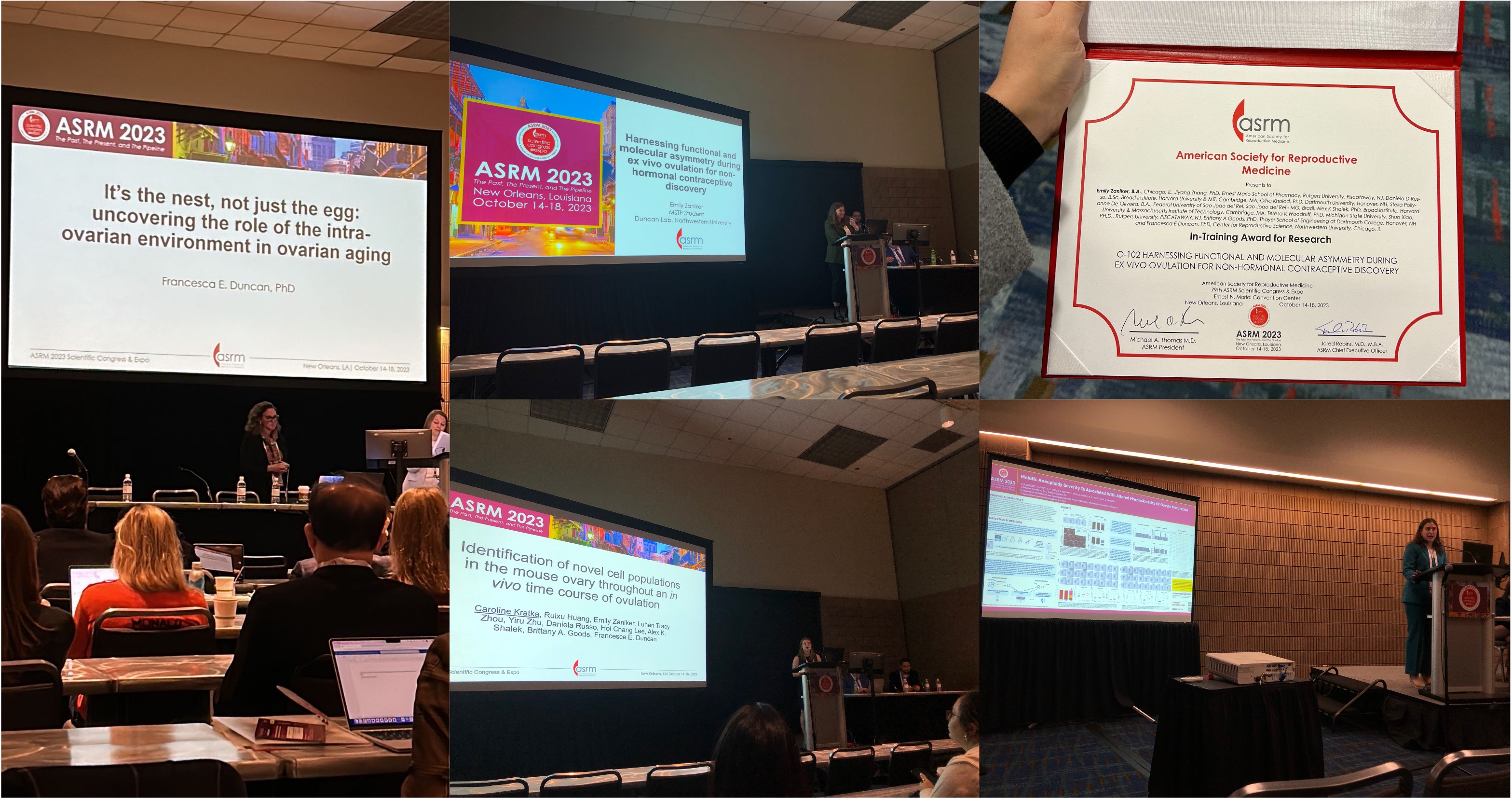 ASRM-2023-OCDI.jpg