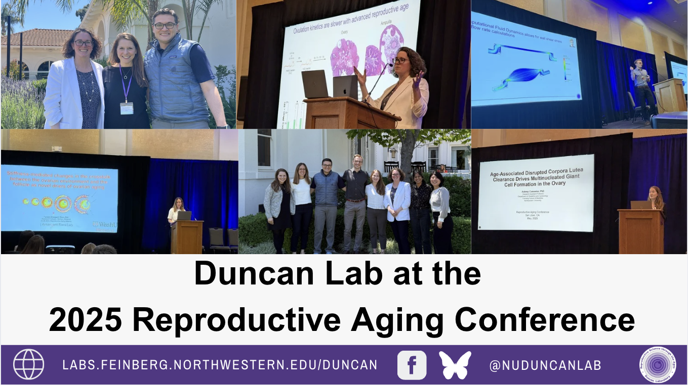 A collage of the Duncan Lab at the RAC 