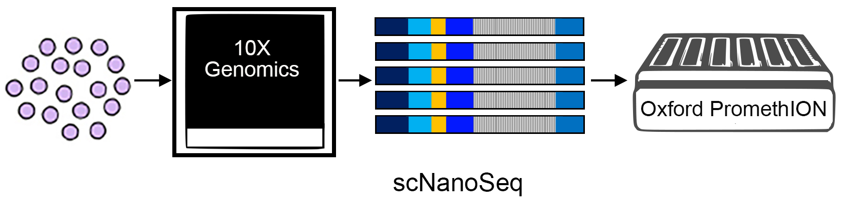 photo of single-cell nanopore sequencing technology