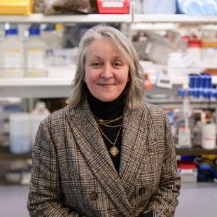 Amy Heimberger, MD