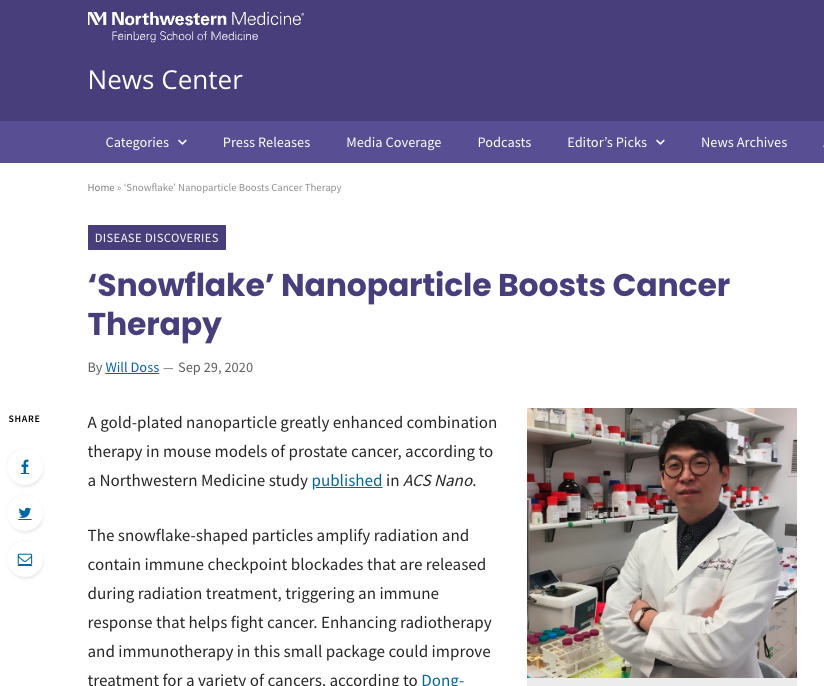 Snwflake Nanparicle Bss Cancer Therapy