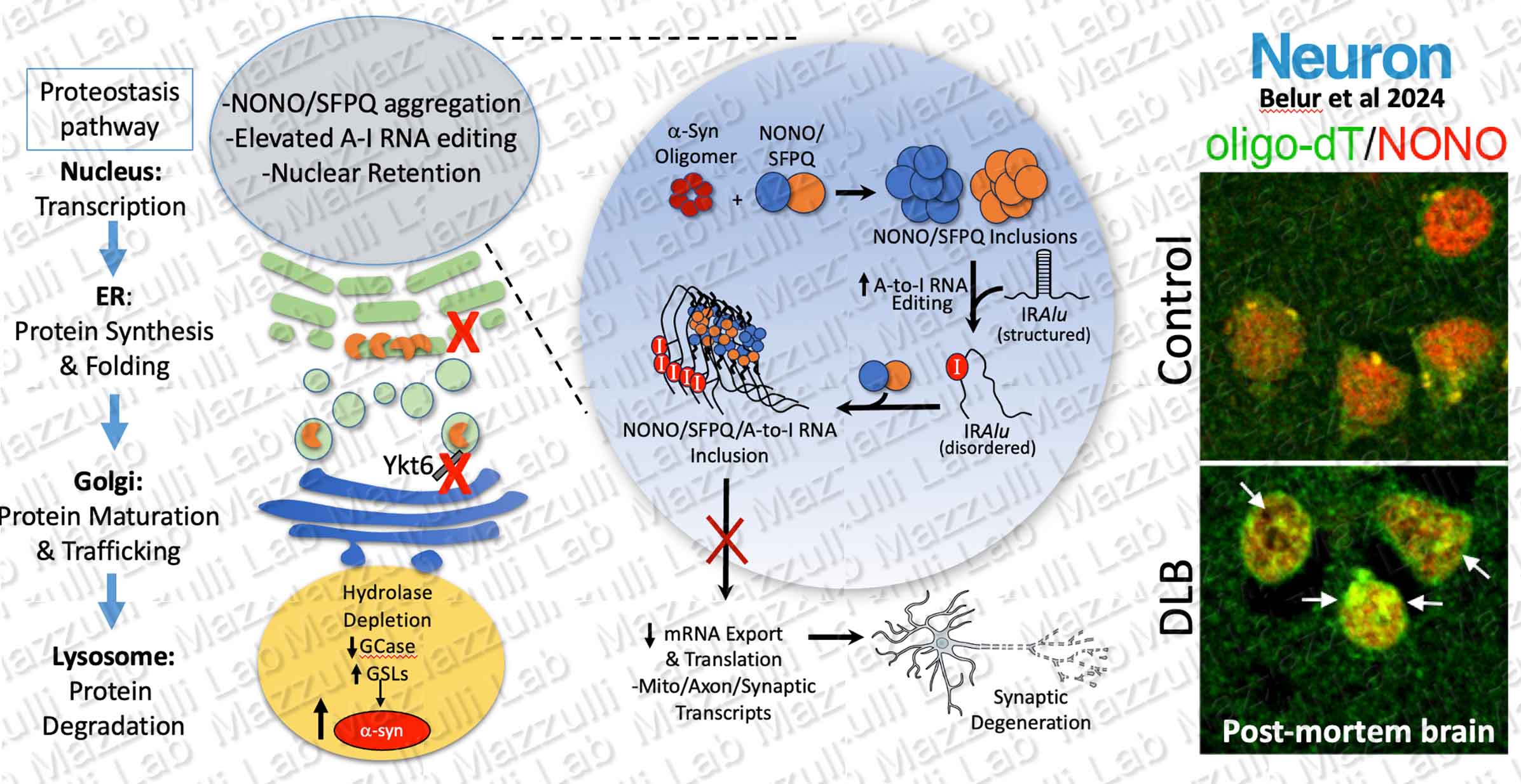 RNA-editing-copy.jpg