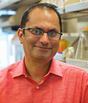 Puneet  Opal