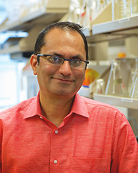 Puneet Opal, MD, PhD