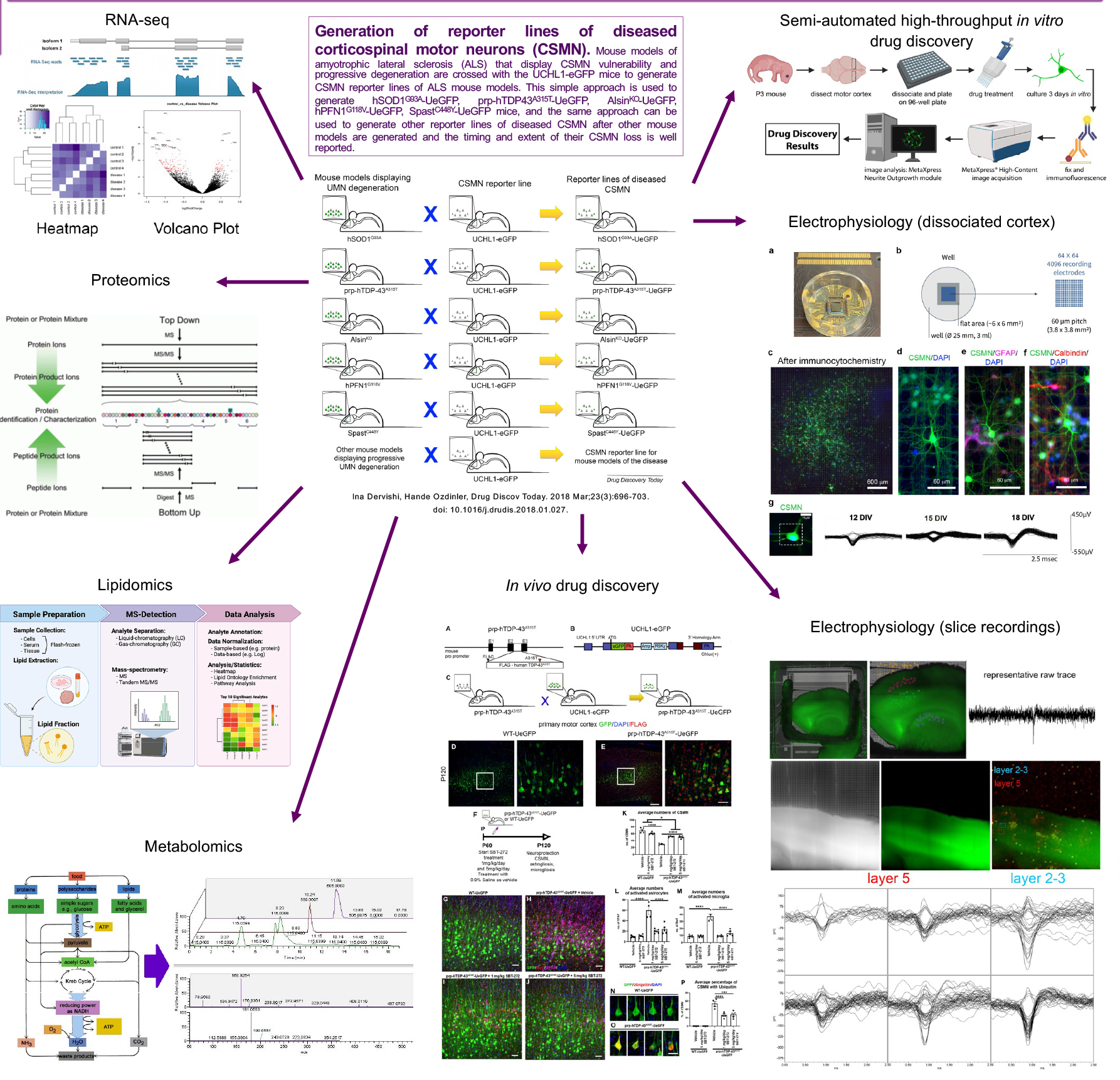 drug discovery