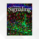 Read our latest publication, featured on the cover of Science Signaling. 