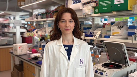 Aleksandra Janowska, PhD