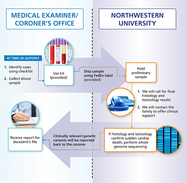 Webster Workflow