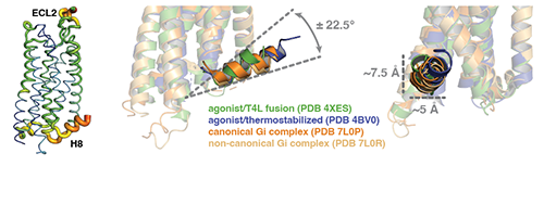 Bwer e al. 2024, Prein Science