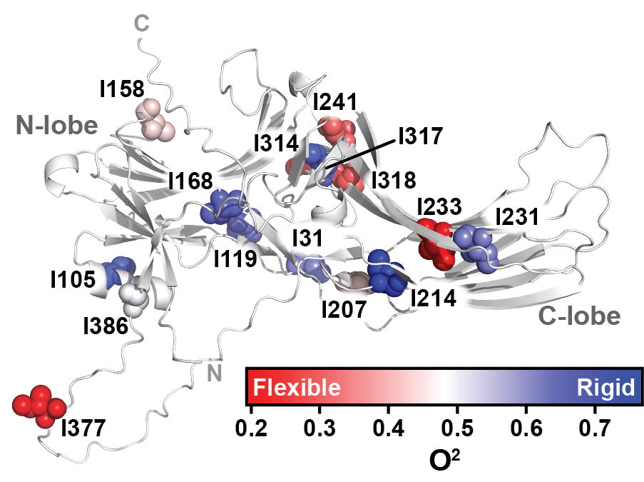 Shriver e al. 2026, Prein Science